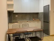 Rent, one bedroom apartment, 45m², Pobrežje, Podgorica - image 7