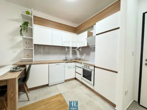 Izdavanje, jednosoban stan, 47m², Stari Aerodrom, Podgorica - image 6