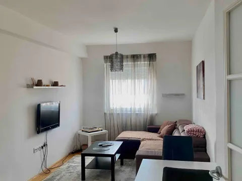 Prodaja, jednosoban stan, 49m², Zabjelo, Podgorica - image 2