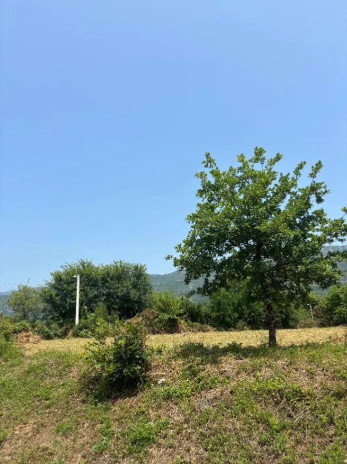 Prodaja, plac, 2400m², Pričelje, Podgorica