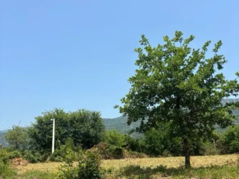 Prodaja, plac, 2400m², Pričelje, Podgorica - image 6