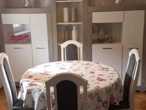 Izdavanje, dvosoban stan, 55m², Betanija, Novi Sad Sve Podlokacije - image 6