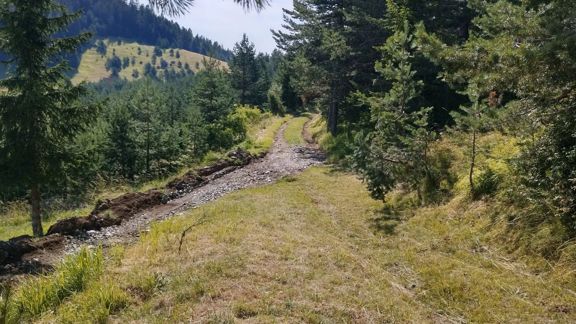 Prodaja, plac, 7000m², Mokra gora, Tara