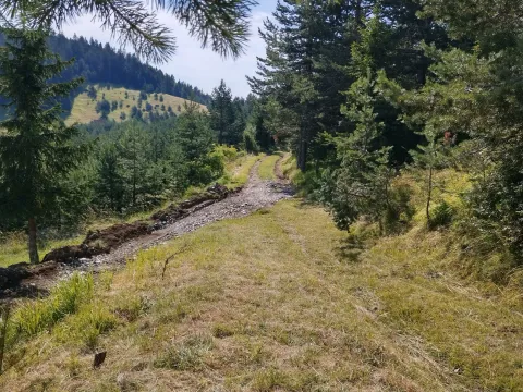 Prodaja, plac, 7000m², Mokra gora, Tara - image 9