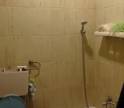 Sale, two bedroom apartment, 28m², Telep, Novi Sad Sve Podlokacije - image 9