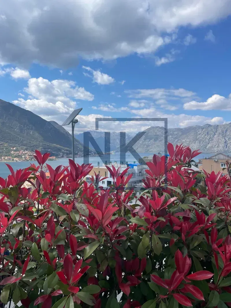 Prodaja, dvosoban stan, 106m², Dobrota, Kotor