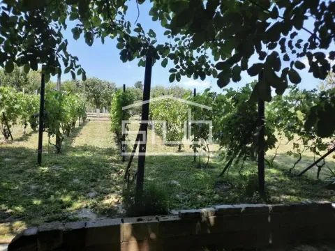 Prodaja, kuća, 42m², Pančevo, Srbija - image 15