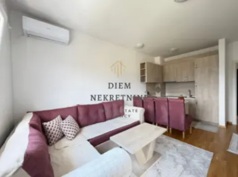 Izdavanje, jednosoban stan, 41m², Stari Aerodrom, Podgorica - image 7