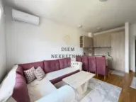 Izdavanje, jednosoban stan, 41m², Stari Aerodrom, Podgorica - image 7