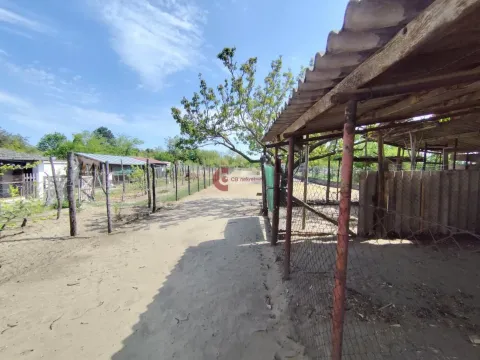 Sale, house, 44m², Kelebija, Subotica - image 13