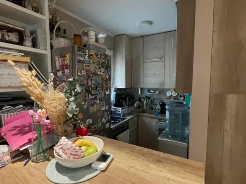 Sale, two bedroom apartment, 42m², Adice, Novi Sad Sve Podlokacije - image 6