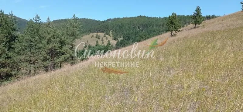 Prodaja, plac, 212100m², Divčibare, Valjevo