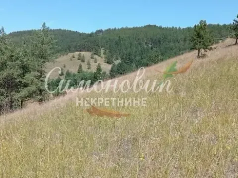 Sale, land lot, 212100m², Divčibare, Valjevo - image 14