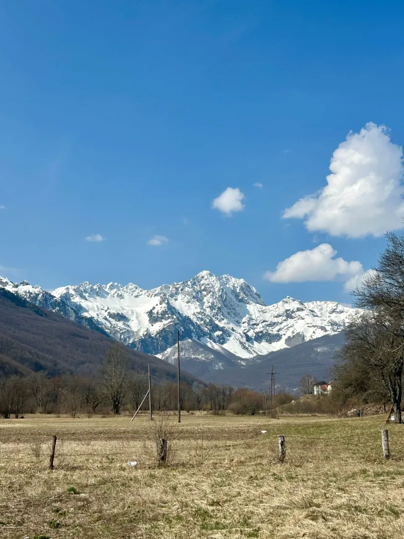 Pogled na planinske vrhove i livadu u okolini nekretnine.