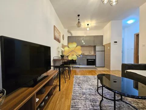 Izdavanje, jednosoban stan, 63m², Zabjelo, Podgorica - image 3