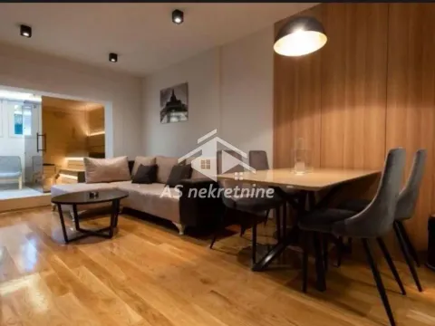 Izdavanje, dvosoban stan, 55m², Južni Bulevar, Vračar Sve Podlokacije - image 8