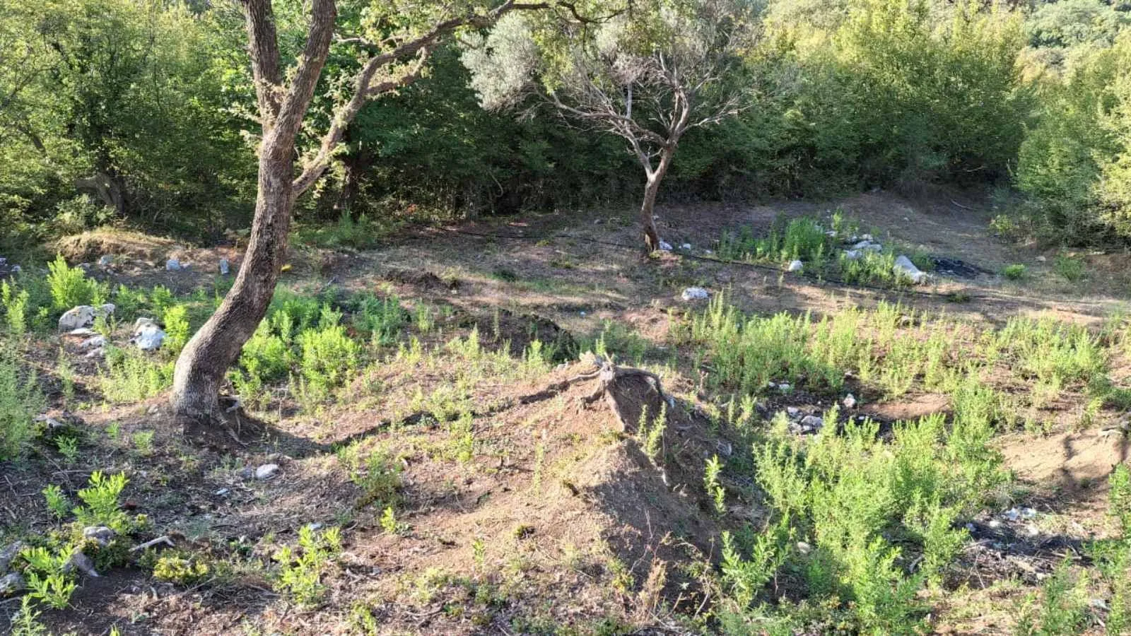 Prodaja, plac, 1000m², Bar, Crna Gora