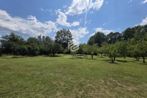 Prodaja, plac, 9652m², Spuž, Danilovgrad - image 15