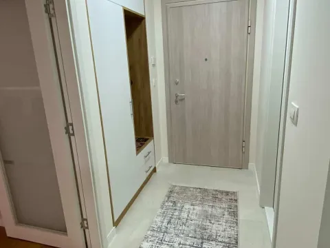 Izdavanje, jednosoban stan, 47m², Central Point, Podgorica - image 3