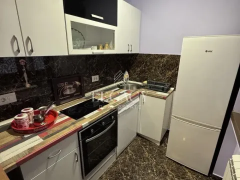 Rent, two bedroom apartment, 45m², Vračar Hram, Vračar Sve Podlokacije - image 10