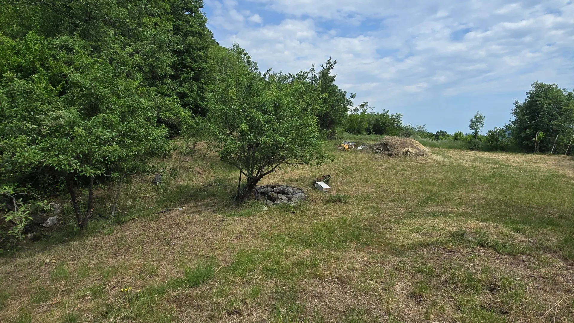 Prodaja, plac, 8000m², Piperi, Podgorica