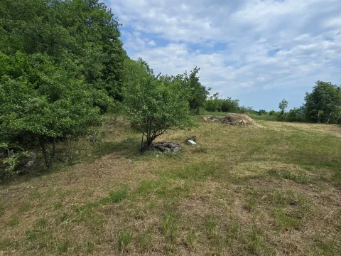 Prodaja, plac, 8000m², Piperi, Podgorica - image 3