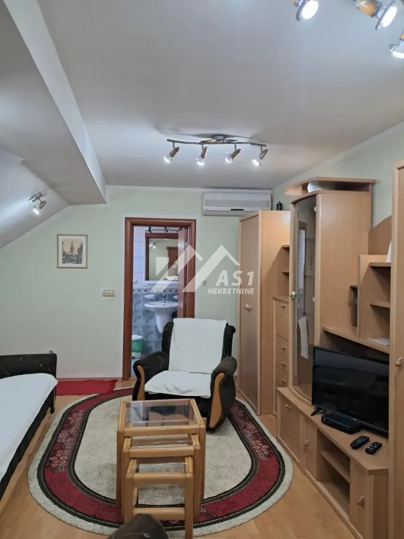 Dnevna soba sa drvenim nameštajem i pogledom na kupatilo.