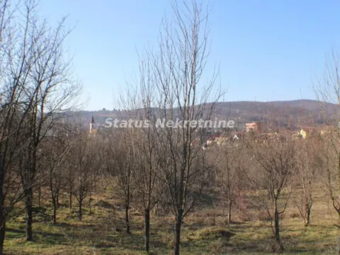 Prodaja, plac, 2400m², Irig, Srbija - image 6