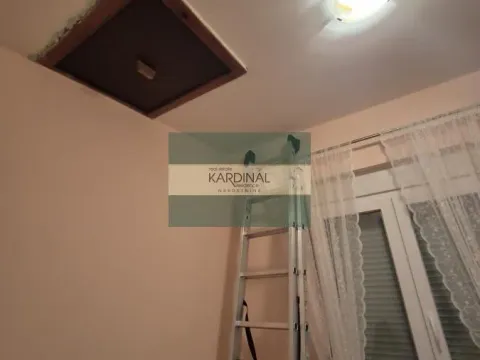 Prodaja, kuća, 379m², Trnava, Jagodina - image 46