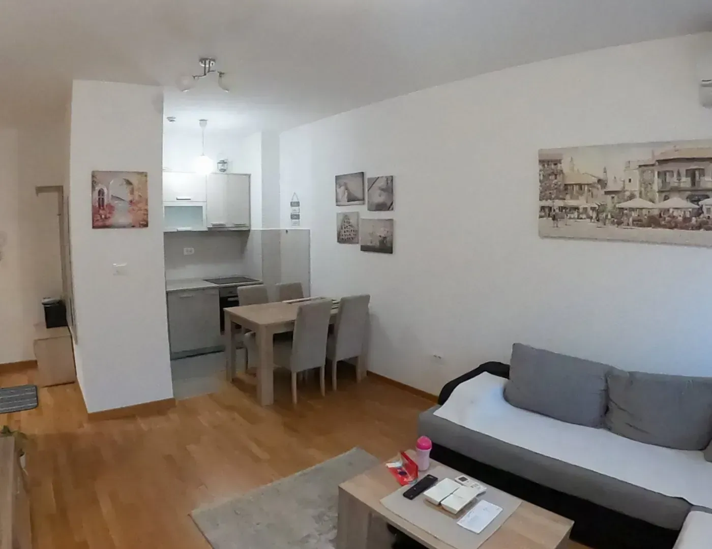 Rent, one bedroom apartment, 45m², Zagorič, Podgorica