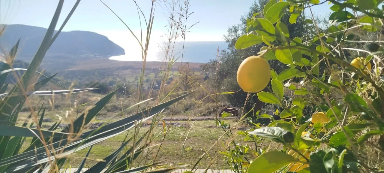 Prodaja, plac, 30000m², Buljarica, Budva