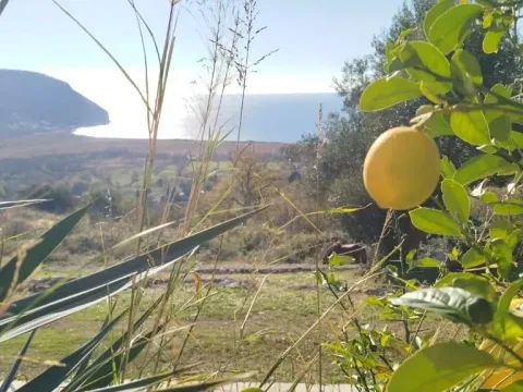 Sale, land lot, 30000m², Buljarica, Budva - image 2