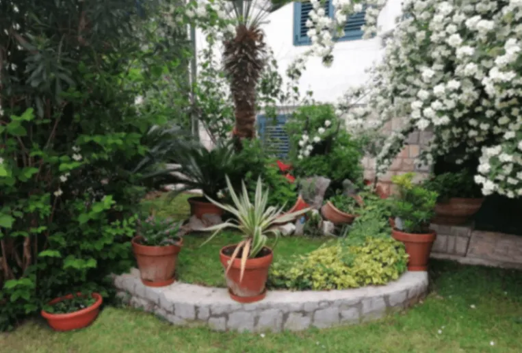 Izdavanje, stan, 80m², Podkošljun, Budva
