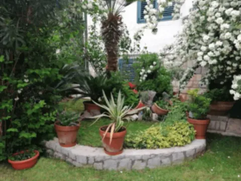 Rent, apartment, 80m², Podkošljun, Budva - image 10