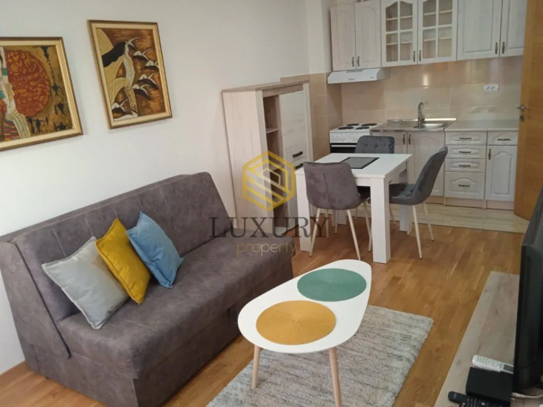 Rent, studio apartment, 26m², Zabjelo, Podgorica