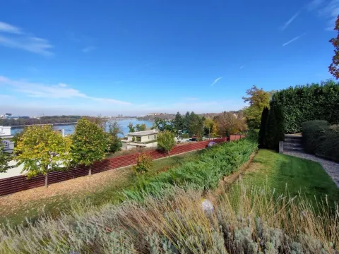 Prodaja, plac, 1300m², Ribnjak, Petrovaradin - image 9