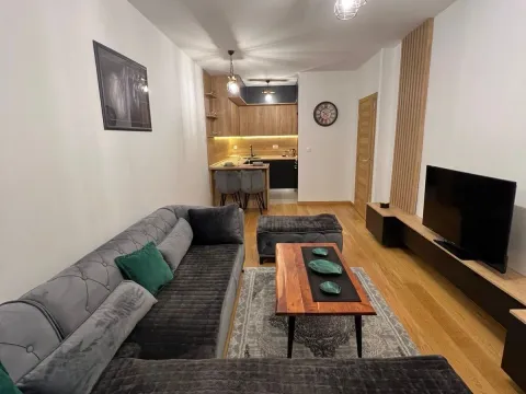 Rent, one bedroom apartment, 47m², New City, Podgorica - image 2