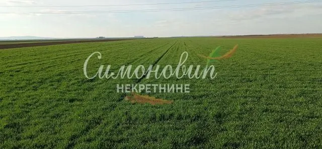 Prodaja, plac, 40000m², Centar, Inđija