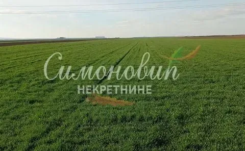 Sale, land lot, 40000m², Centar, Inđija - image 6