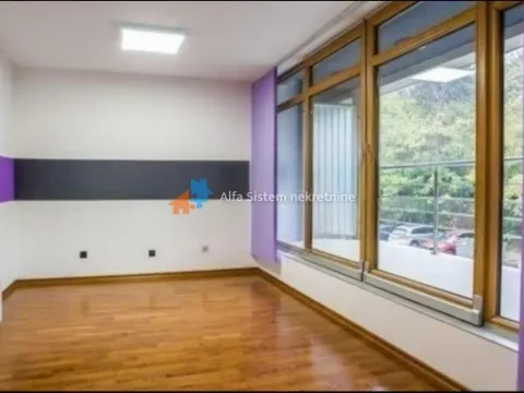 Izdavanje, kuća, 400m², Savski Venac, Beograd - image 14