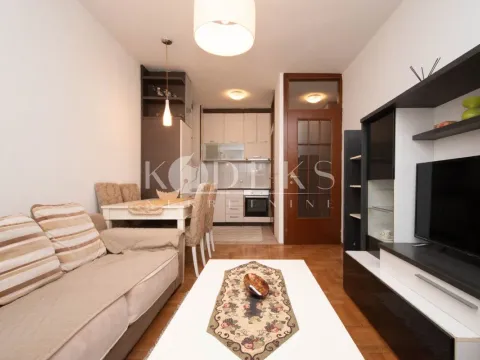Rent, one bedroom apartment, 37m², Stari Aerodrom, Podgorica - image 1