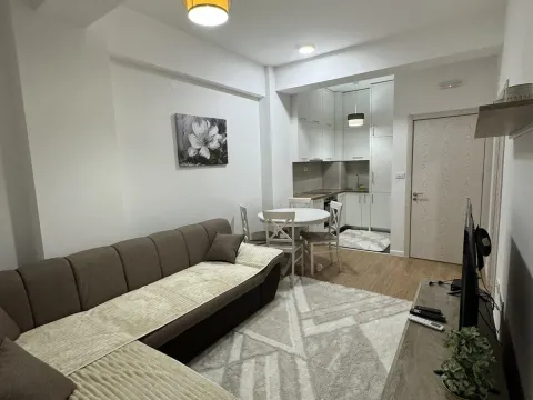 Rent, one bedroom apartment, 35m², Ljubović, Podgorica - image 4