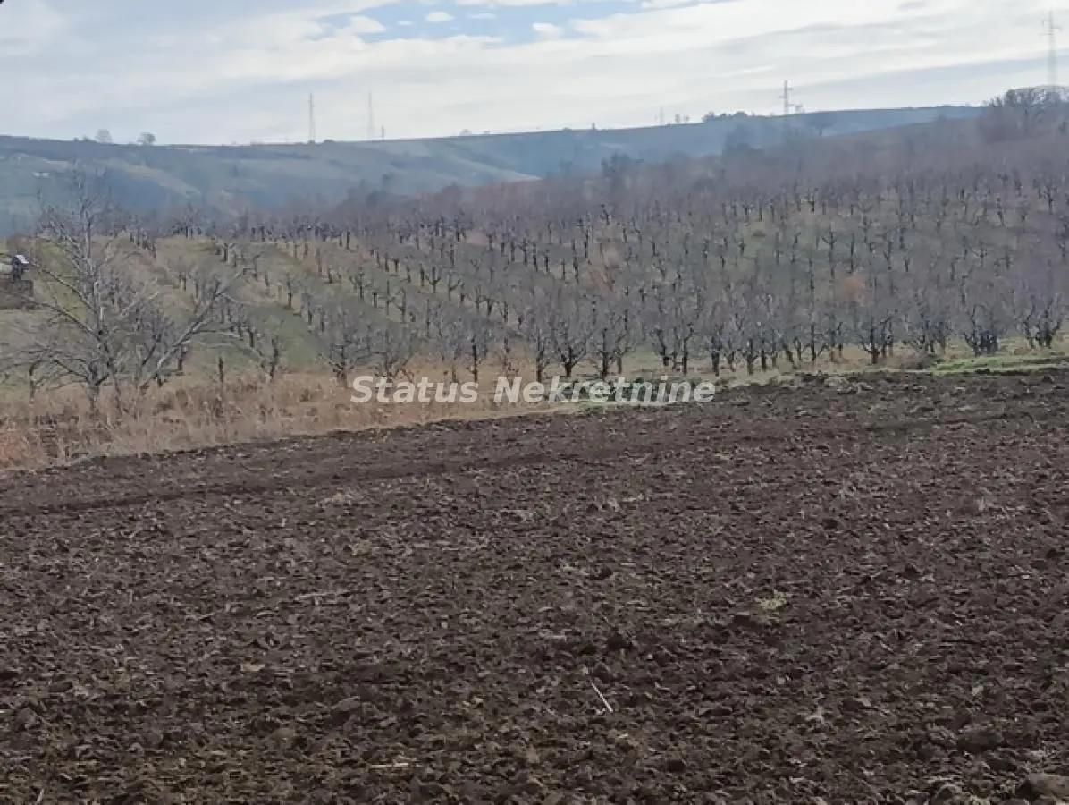 Prodaja, plac, 322m², Sremski Karlovci, Novi Sad