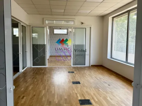 Izdavanje, poslovni prostor, 180m², Stara Varoš, Podgorica - image 7