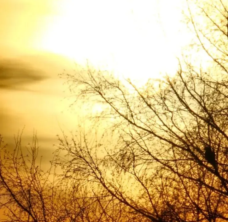 Izdavanje, trosoban stan, 55m², Velika Plana, Srbija