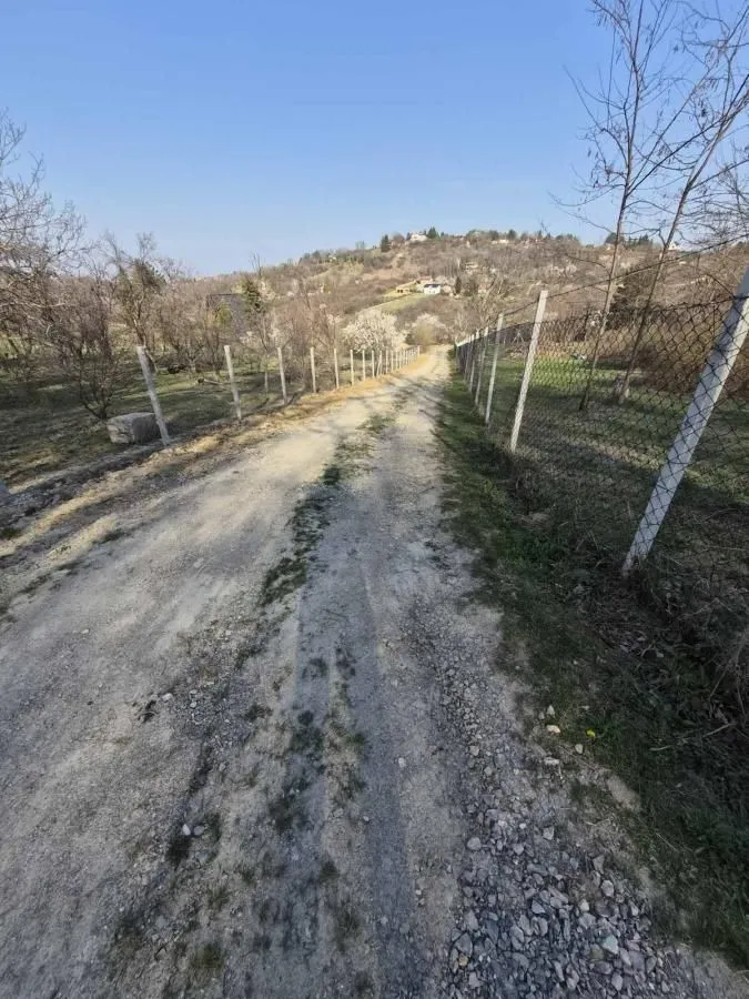 Prodaja, plac, 5000m², Sremska Kamenica, Petrovaradin