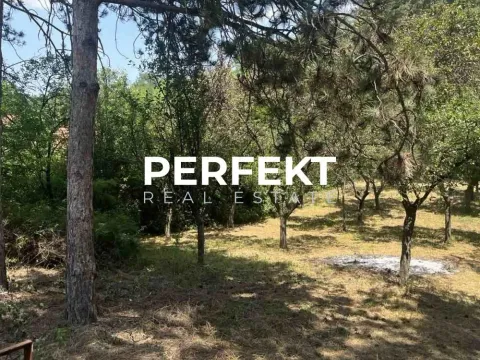 Prodaja, kuća, 43m², Alibunar, Srbija - image 10