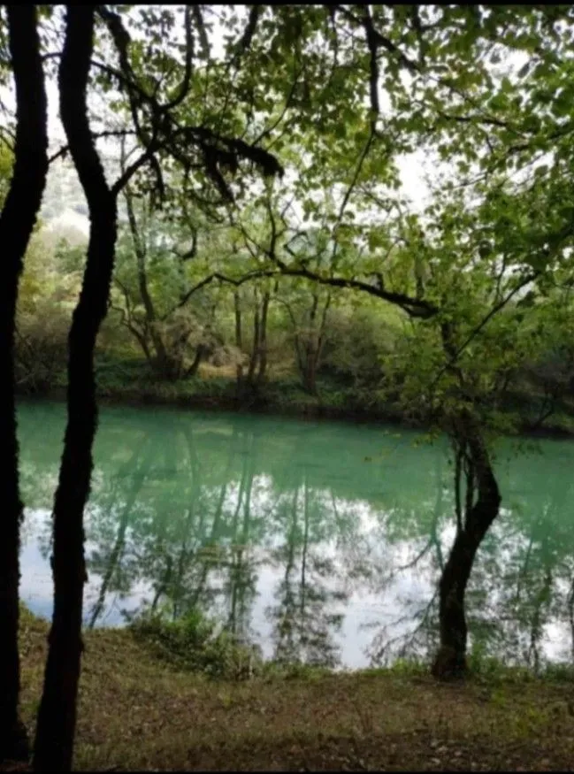 Prodaja, plac, 8500m², Frutak, Danilovgrad