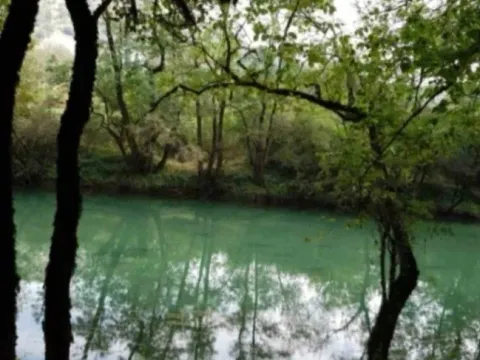 Sale, land lot, 8500m², Frutak, Danilovgrad - image 12