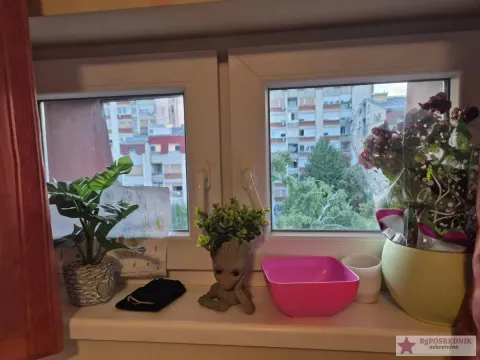 Sale, three bedroom apartment, 75m², Skojevsko Naselje, Beograd - image 12